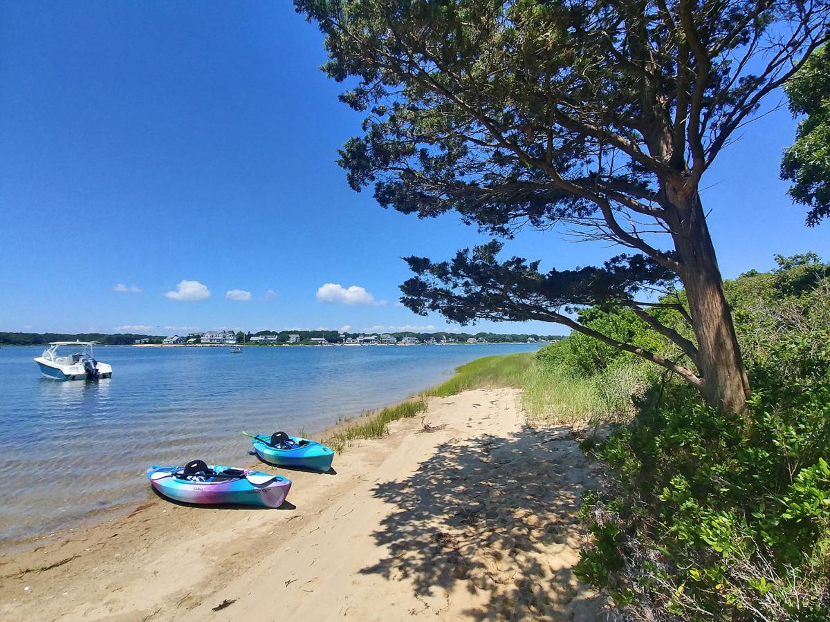 The Week In Photos July 24, 2020 Photography