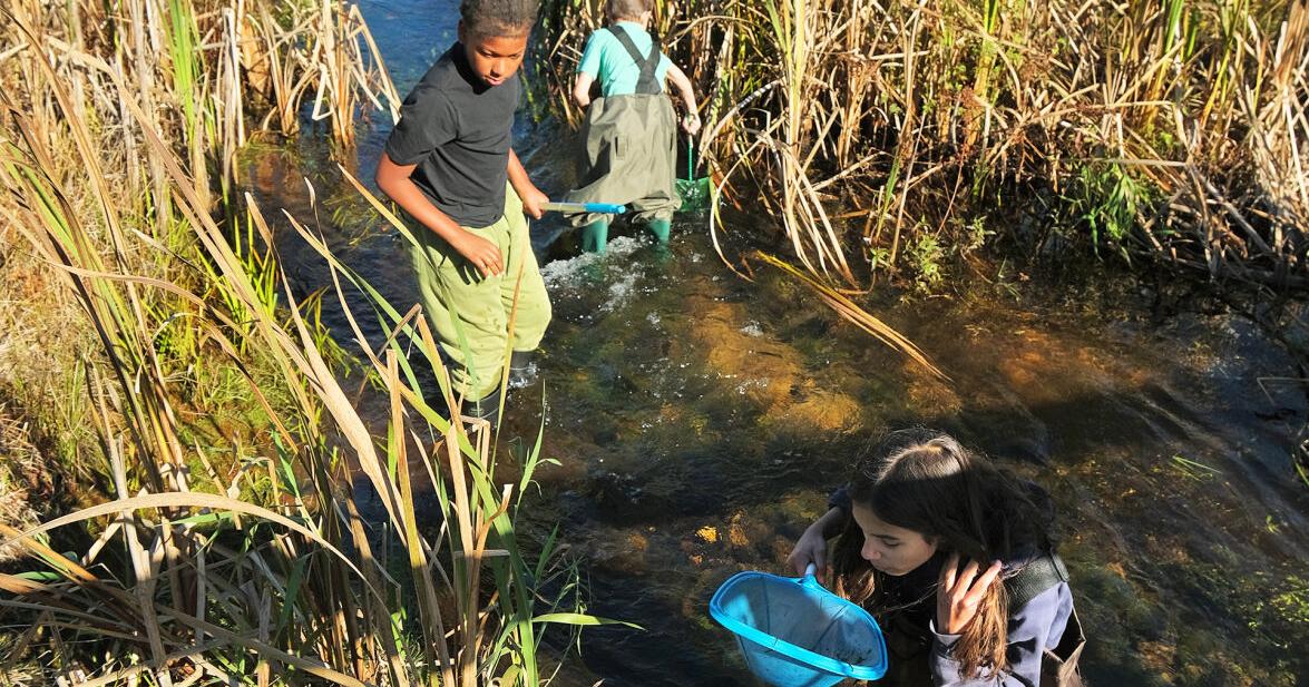 Falmouth Students Become Coonamessett River Detectives
