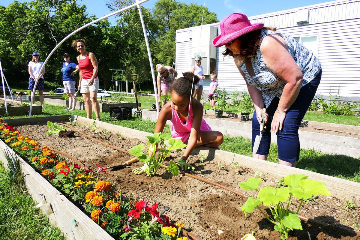 Teaticket School Garden Gathering