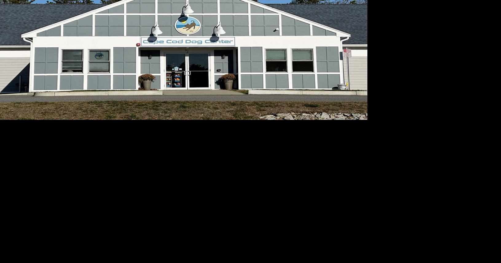 Cape Cod Dog Center Receives Multiple Complaints, Investigations Under Review | Mashpee