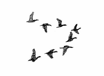 Weekly Nature Watch Flocking Together Columns Capenews Net
