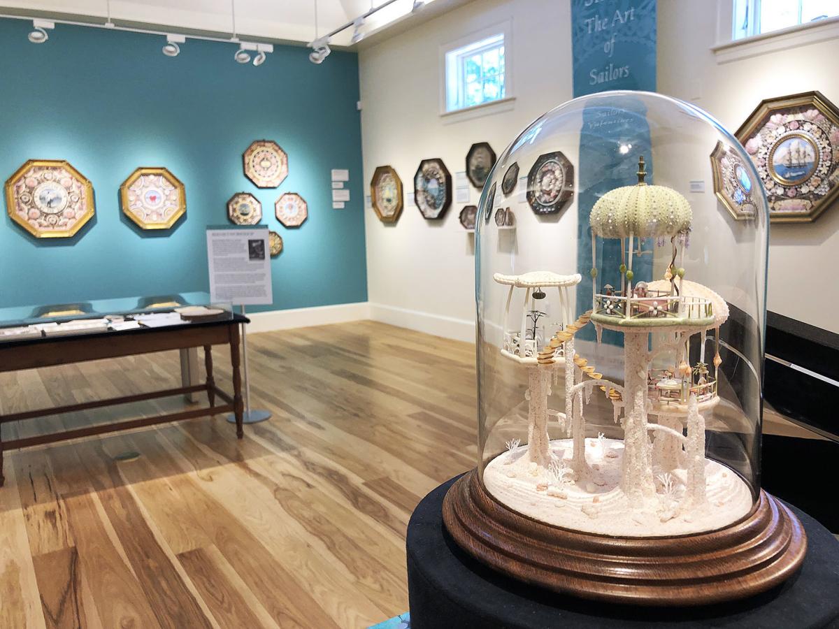 Tremendous Art From Tiny Shells Arts Entertainment Capenews Net