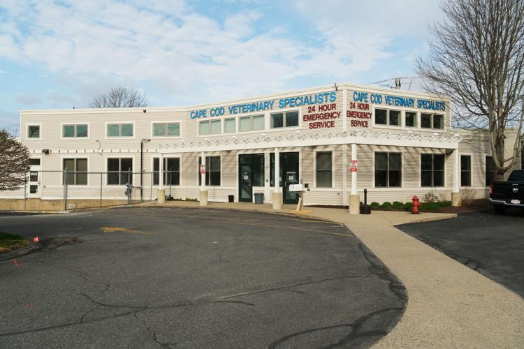 Cape Cod Vet Specialists Expansion In The Works | Bourne News ...