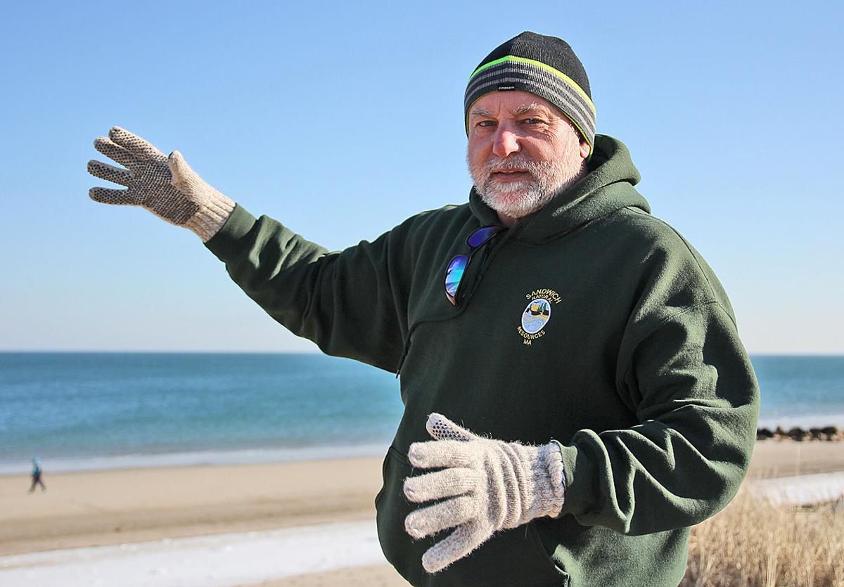 Sandwich Director Of Natural Resources Sandwich Director Of Natural Resources