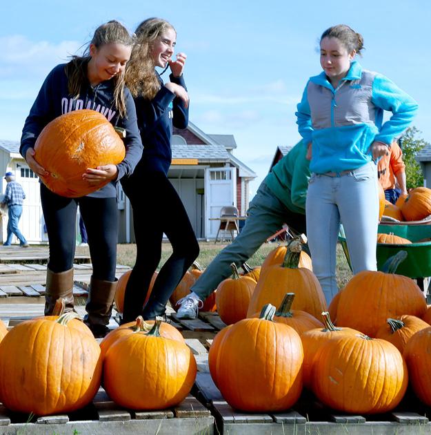 Day 90 Pumpkin Day At Bourne Farm In Falmouth Ma Cape Cod Family