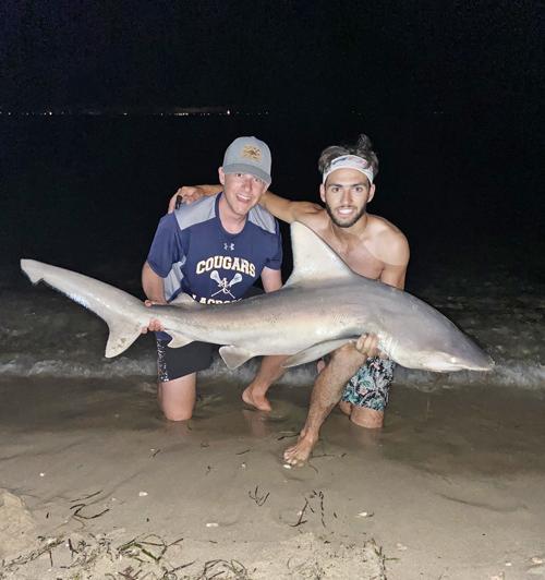 Shark Caught Near Great Pond