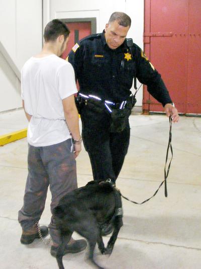 K 9 Officers Adopt Extra Measures To Keep Police Dogs Safe From