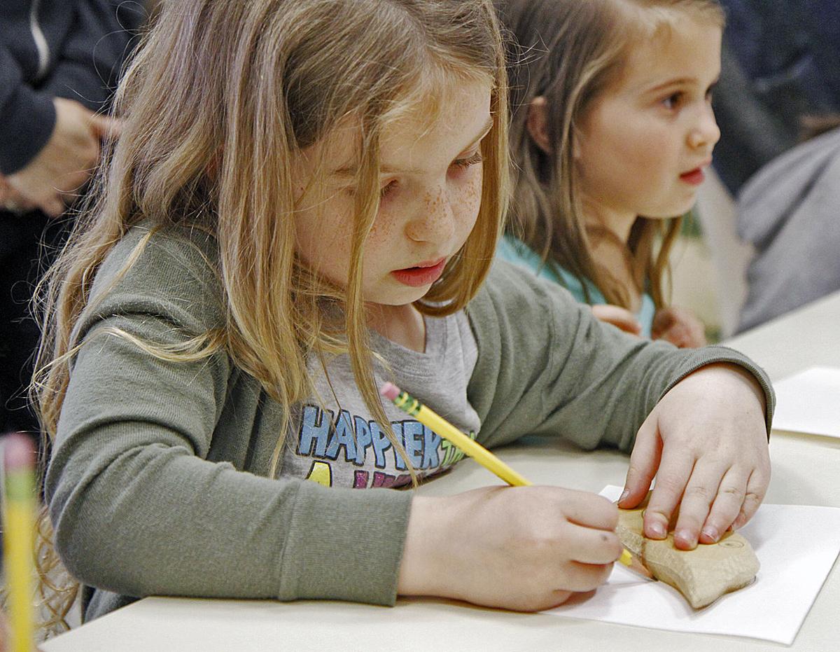 Creating A Natural Neighborhood At North Falmouth Elementary