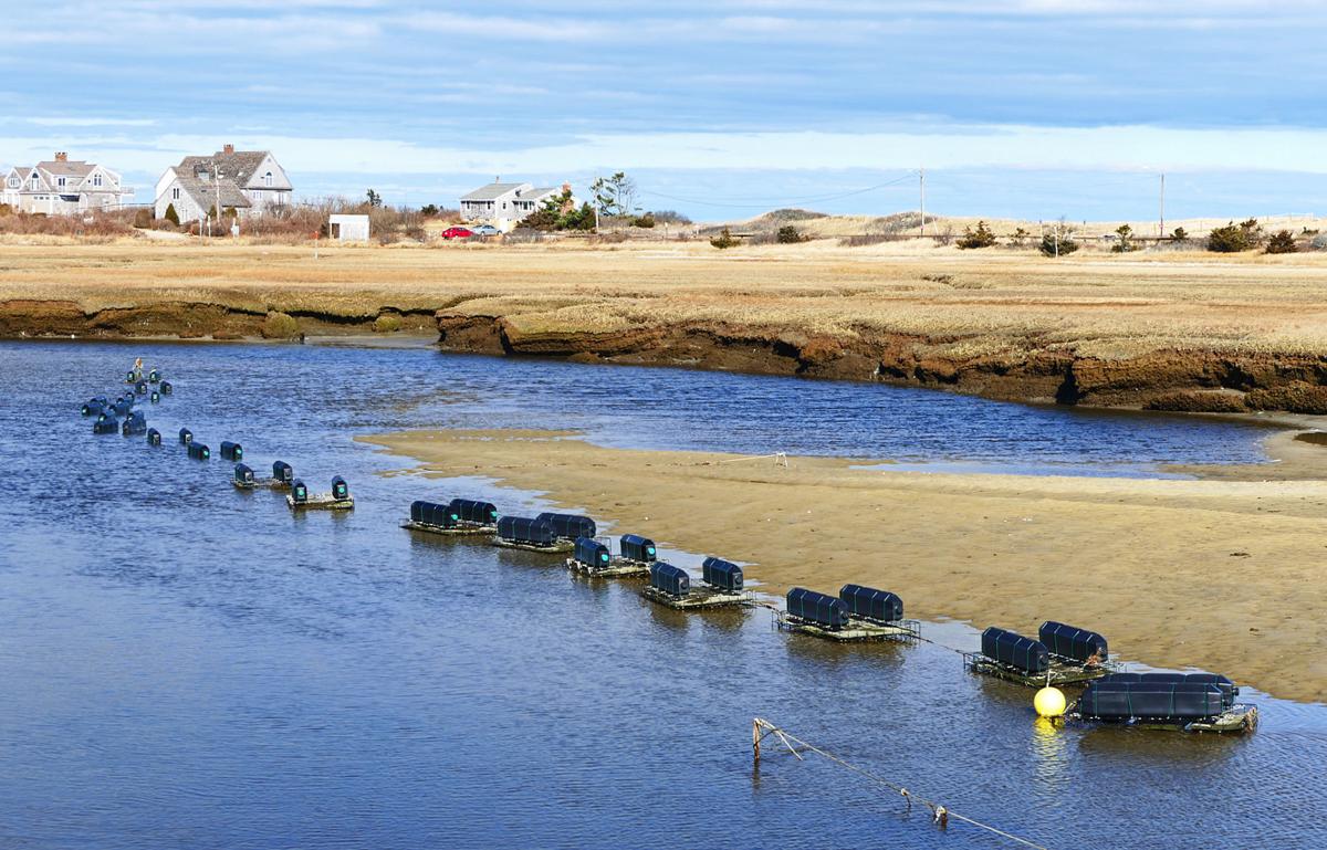 The Week In Photos January 26, 2018 Photography