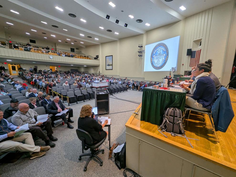 Town Meeting Round Up: Library Funding, Demo Delay, 0 West Falmouth Passes