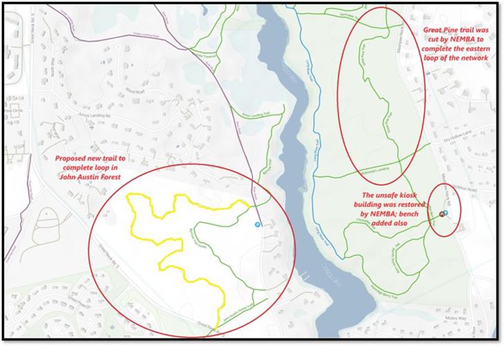 Mountain Bike Association Plans New Trails In Mashpee River Woodlands