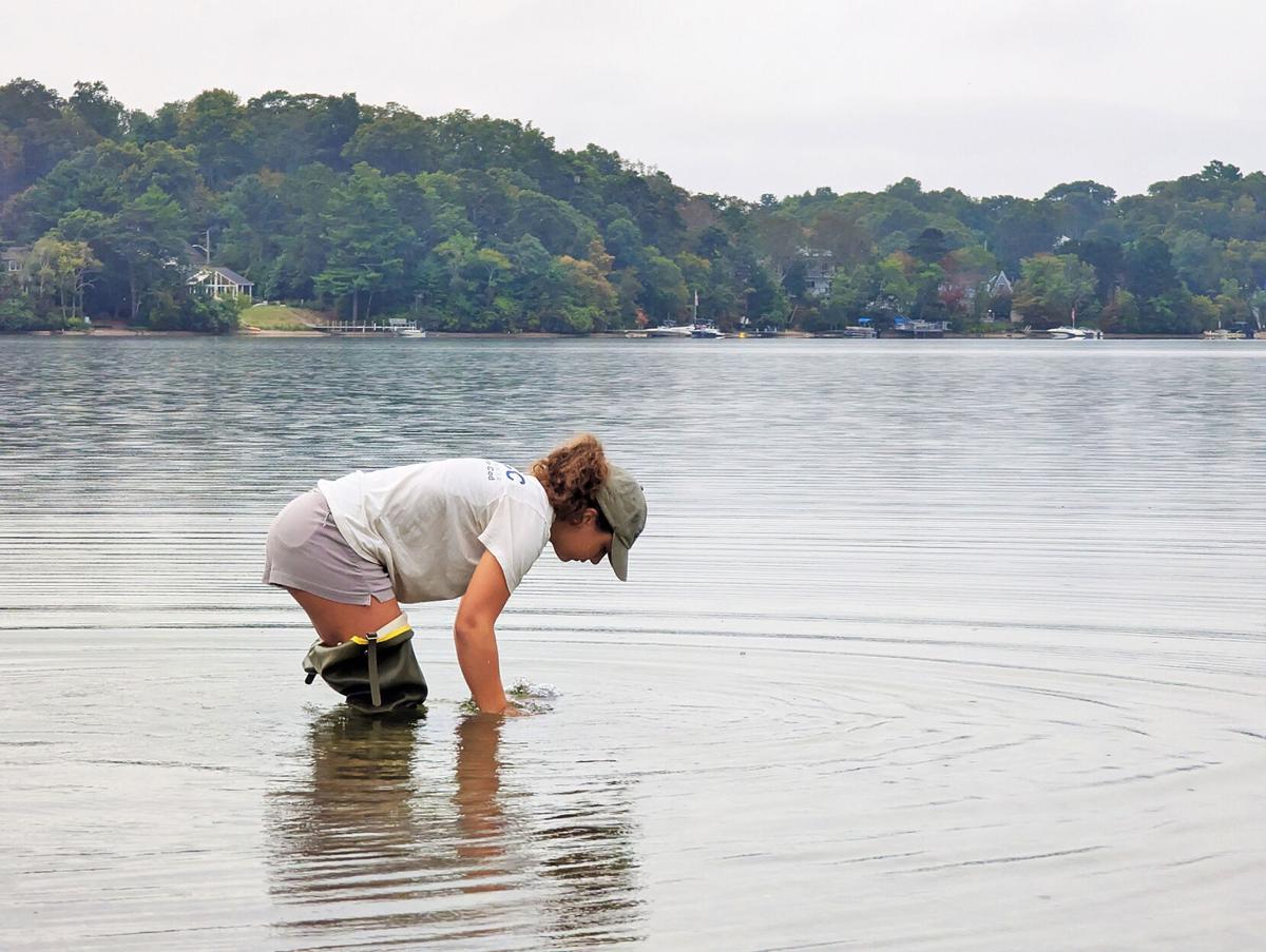 Cod Watercraft Mashpee Ponds Updates: Ashumet Boat Ramp Closing, Johns Pond Diagnostic ...