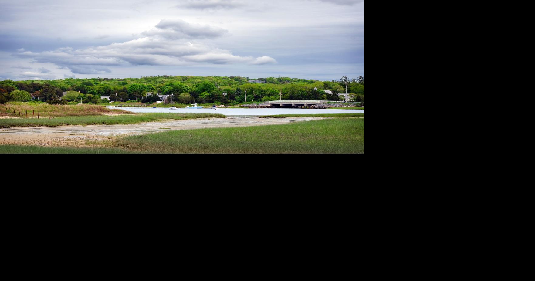 West Falmouth Harbor to Open for Shellfishing Soon Falmouth Briefs