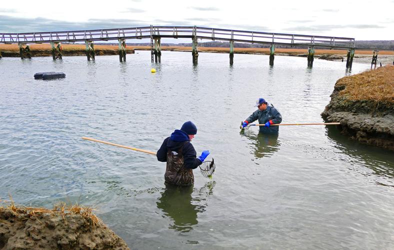 The Week In Photos December 01, 2017 Photography