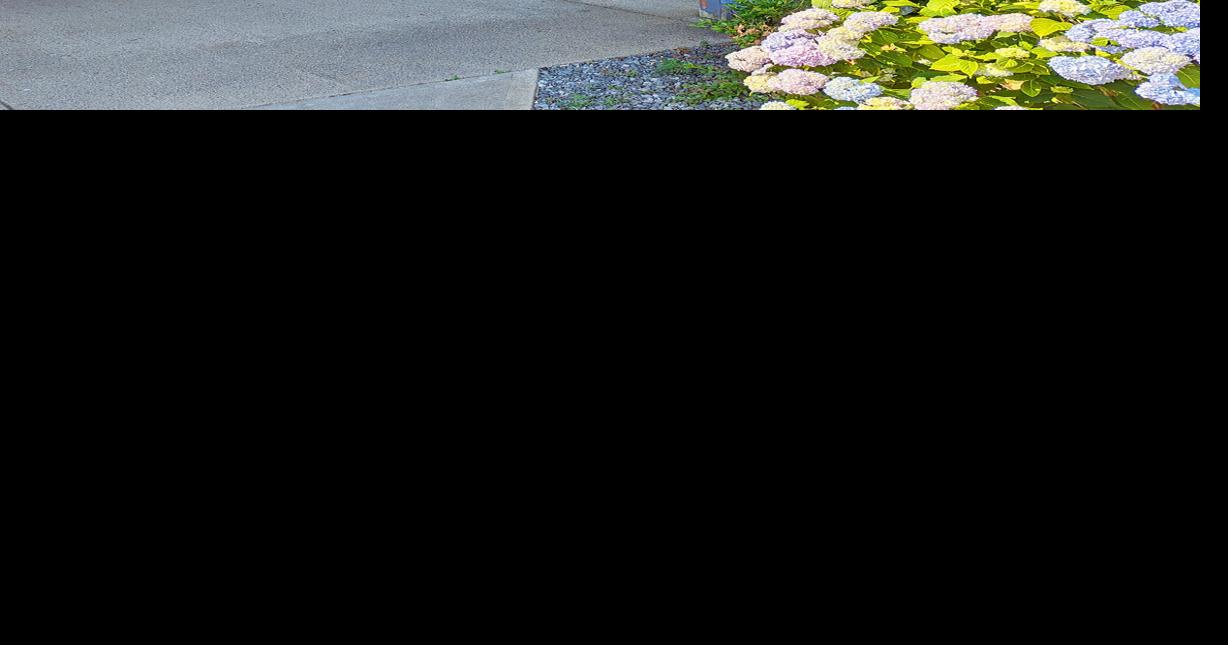 Green Pond Fish Market Closes After 40 Years Falmouth News