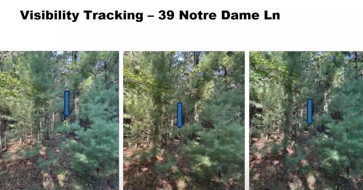 Officials, Engineers Give Updates At Second Gunters Lane Workshop