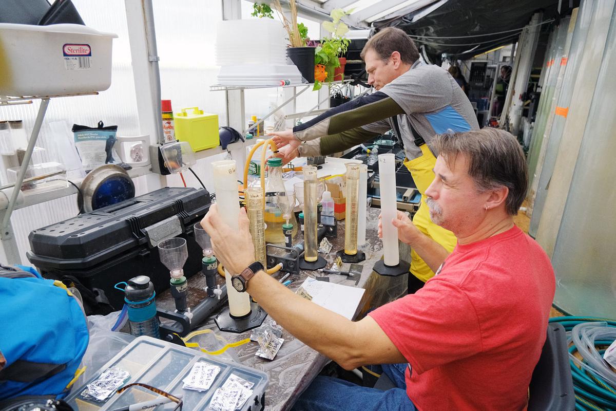MMA Scallop Ocean Acidification Project