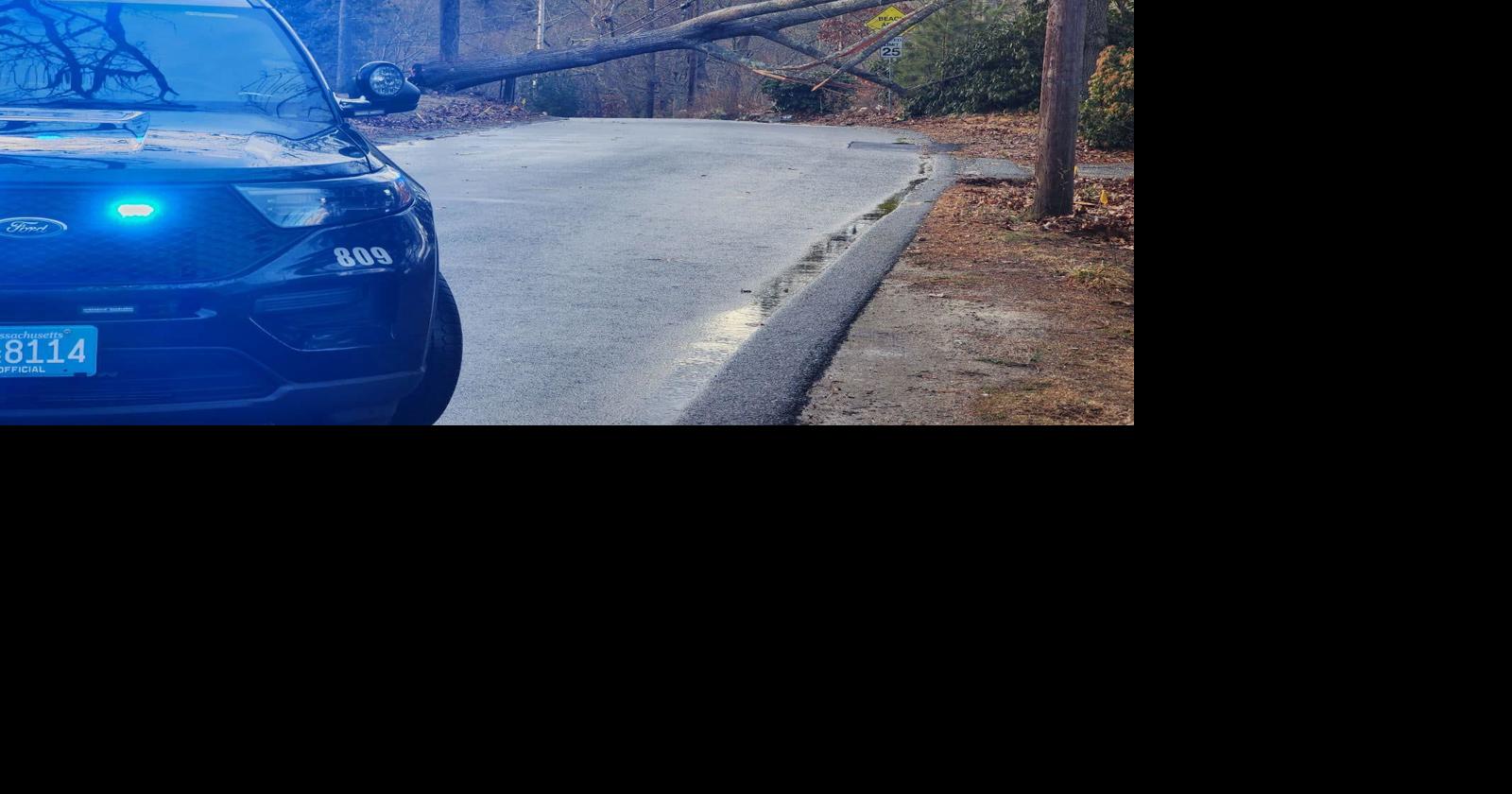 Downed Tree Cuts Off Power, Utilities Falmouth News