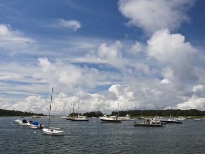 Restoration Of West Falmouth Harbor Event Leaves Residents With