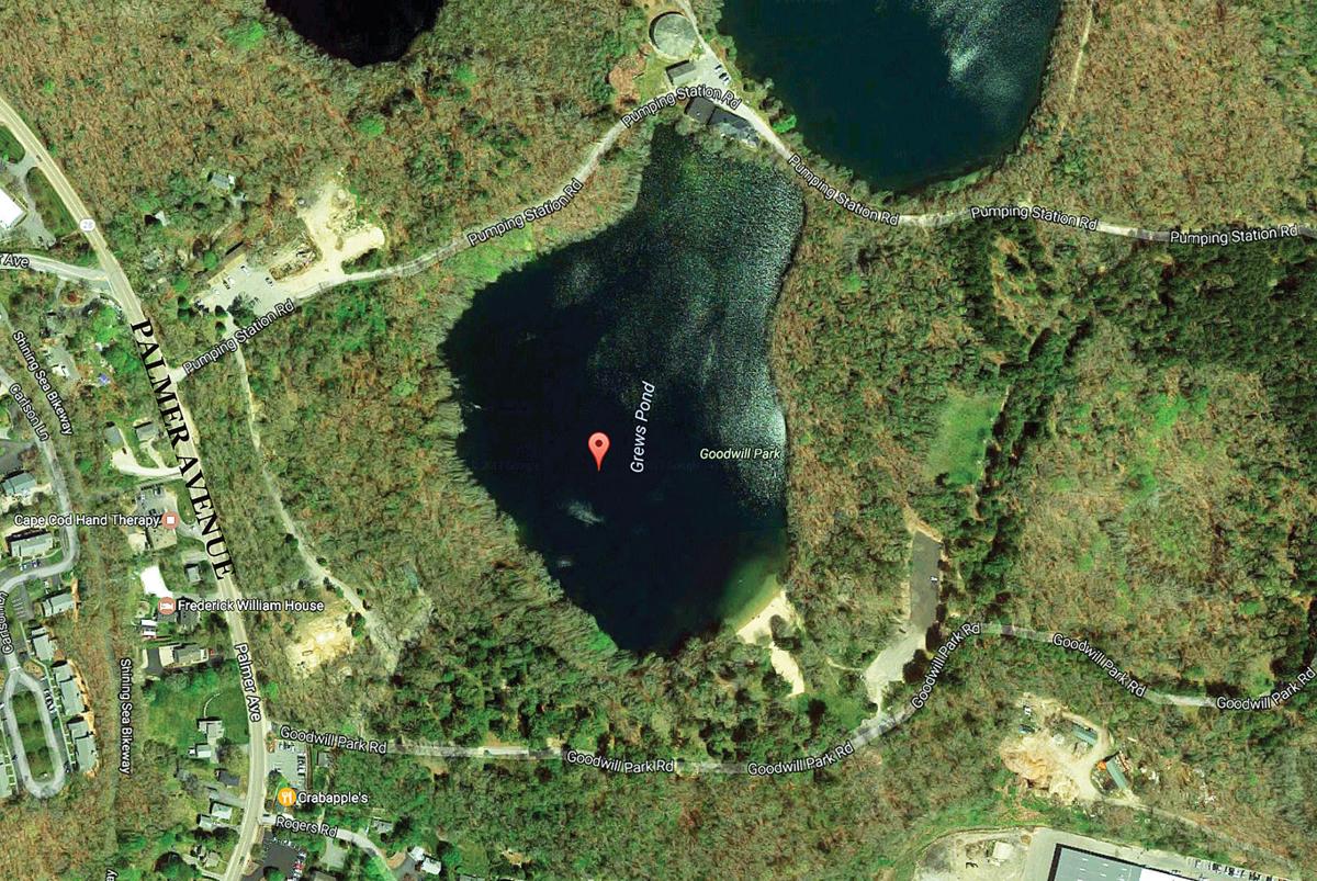 Committee Will Look At Goodwill Park Grews Pond Management