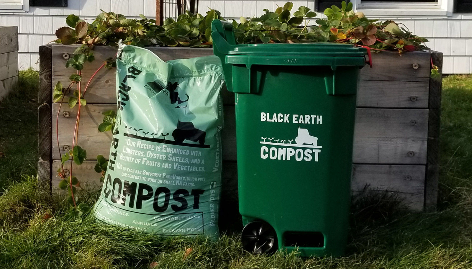 Black Earth Compost Looks To Make Good Soil Falmouth News Capenews Black Earth Compost Looks To Make Good Soil Falmouth News Capenews