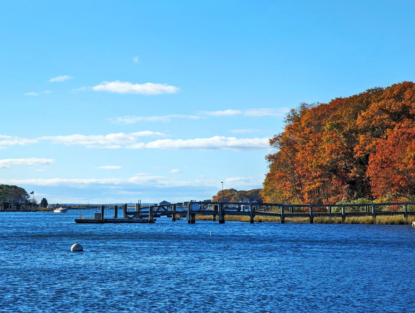 Board Approves Fixed Dock In Eel Pond Falmouth News