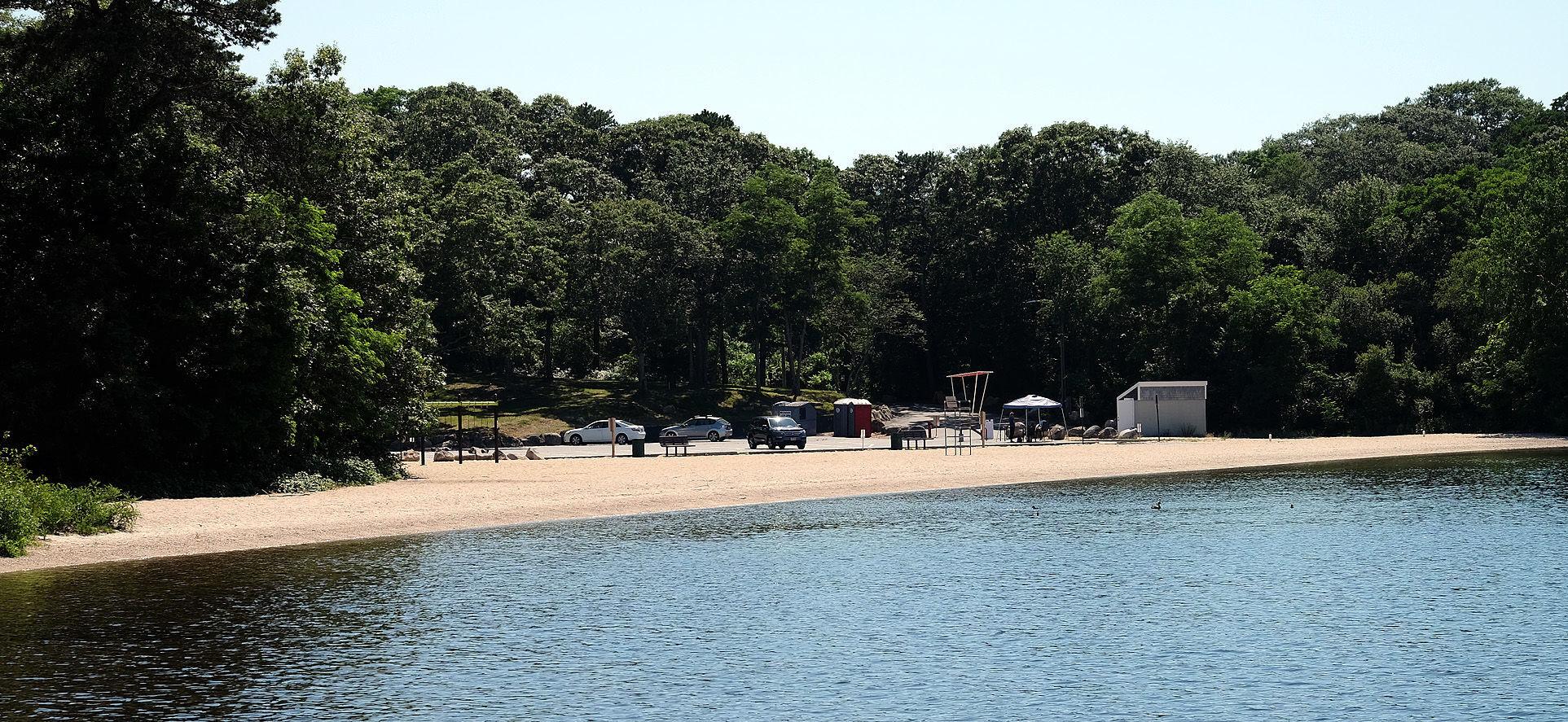 Mashpee/Wakeby Pond Cyanobacteria Uploaded Photos