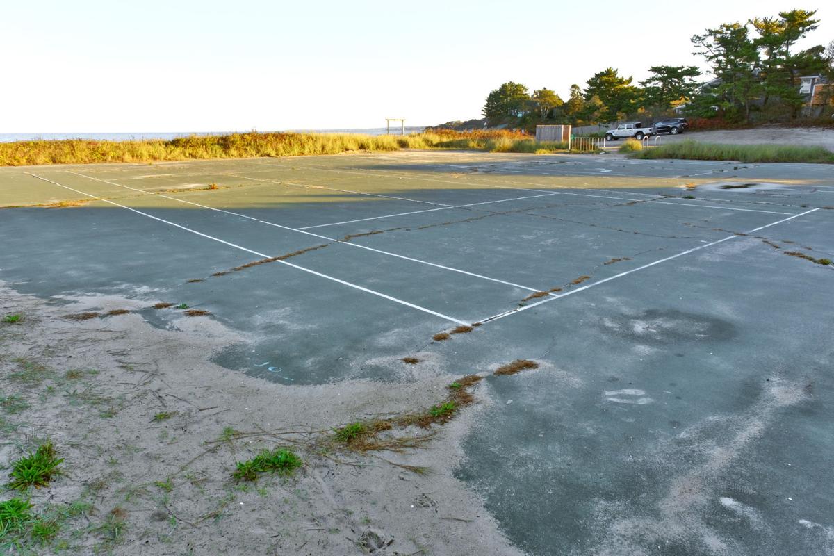 Dune Restoration Study Funded For Stoney Beach In Woods Hole | Falmouth  News | capenews.net