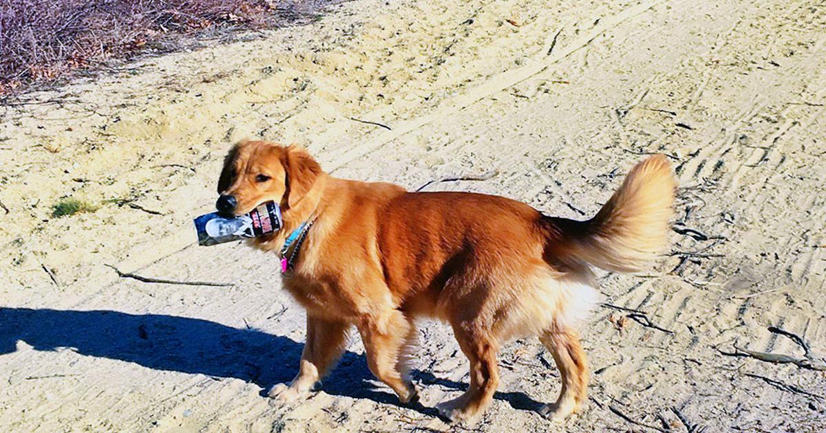 Falmouth Spring Clean Annual Town Spring Cleanup Begins Saturday | Falmouth News | capenews.net