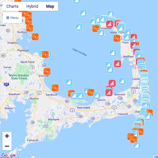 Sharks Venture Onto Upper Cape Radar Regional News