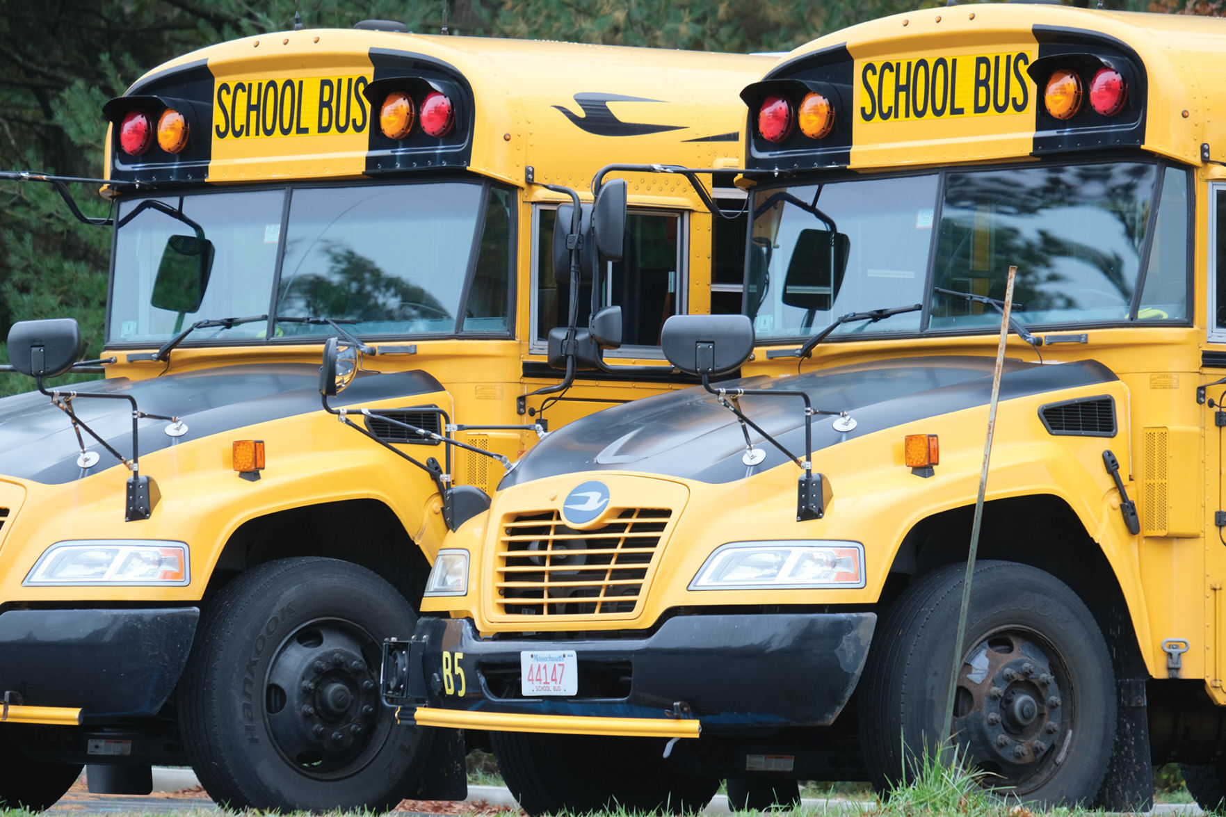 Mashpee School Bus Crashes Into Tree After Driver Suffers Medical ...