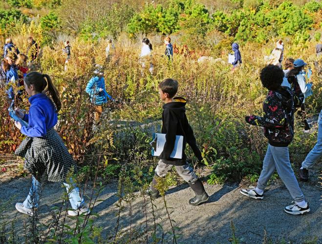 Detective Measures Falmouth Students Become Coonamessett River Detectives | Falmouth News ...