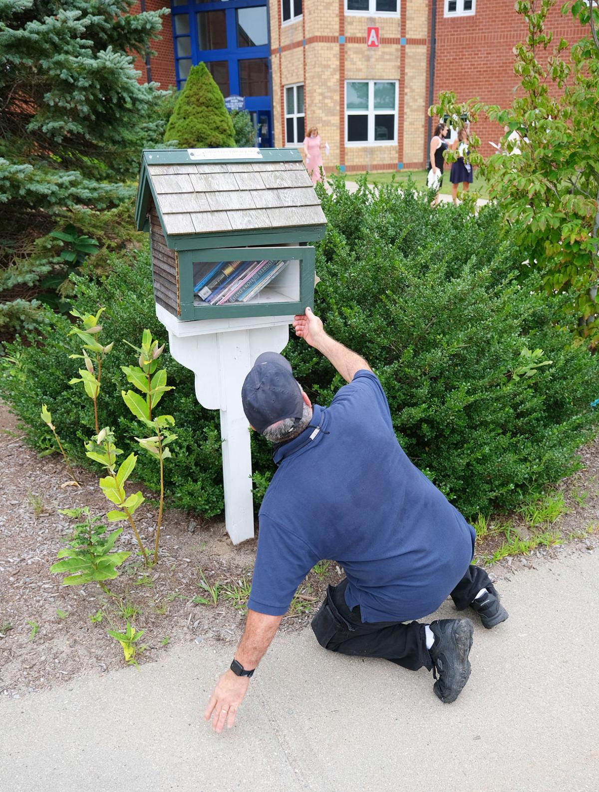 Little Free Library Wasp Nest