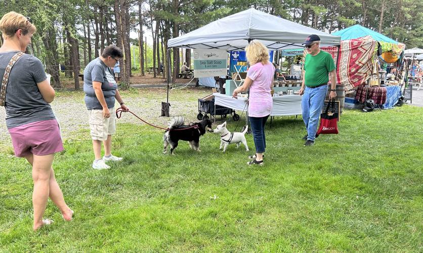 PHOTOS Mashpee Farmers Market Mashpee