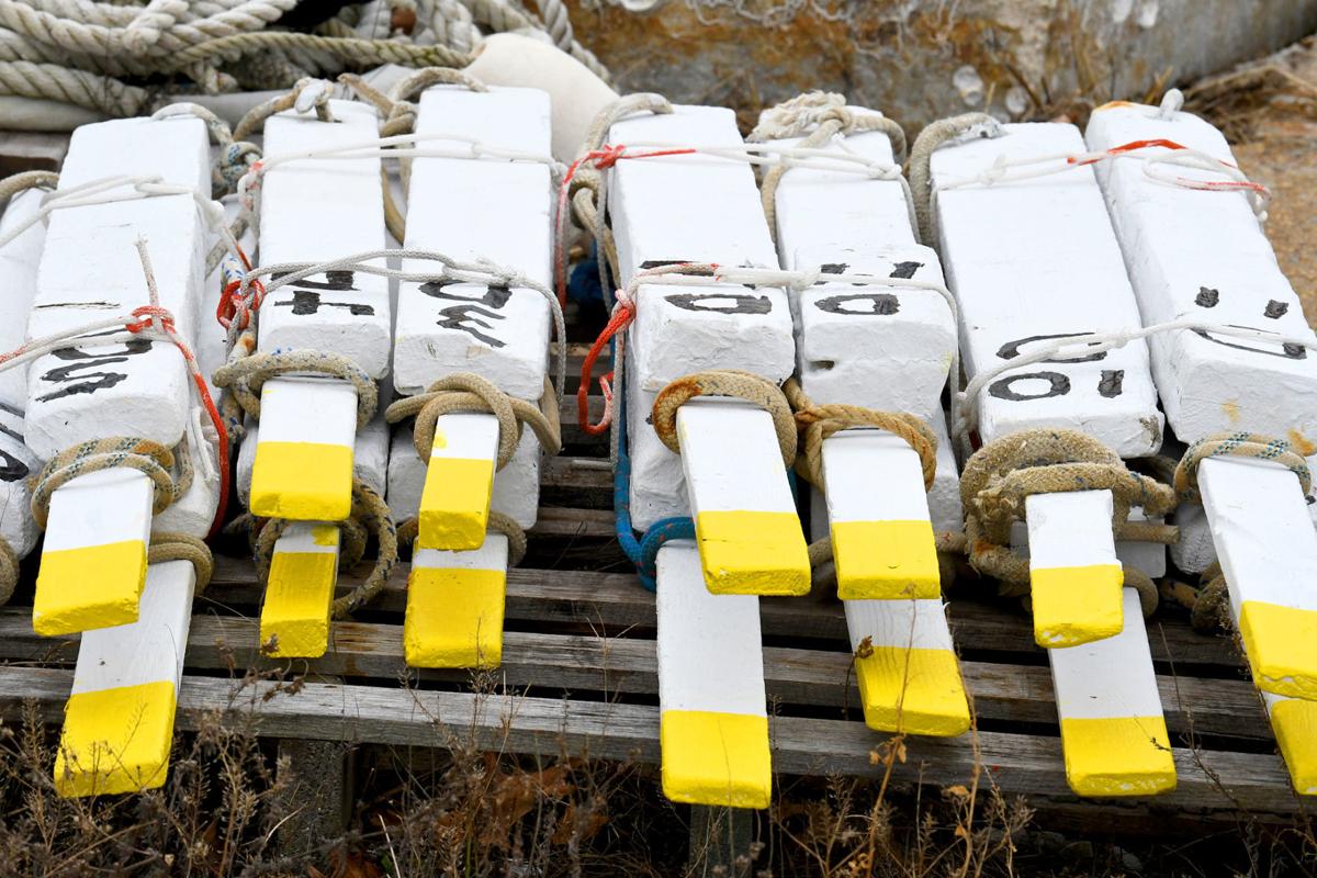 The Week In Photos November 22, 2019 Photography