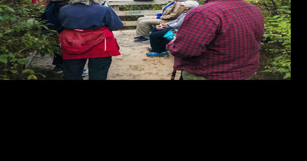 Natural History Museum Offers Archaeology Walk | Arts & Entertainment ...