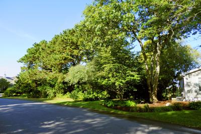 Us Supreme Court Could Review Case Of Falmouth Property Owner