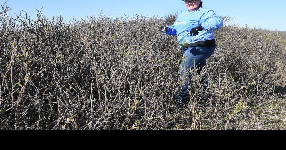 Falmouth Picks Up The Trash Falmouth News