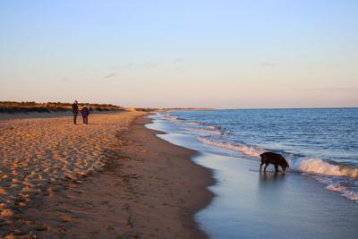For Some In Mashpee Staying Home Is A Return To Nature Mashpee