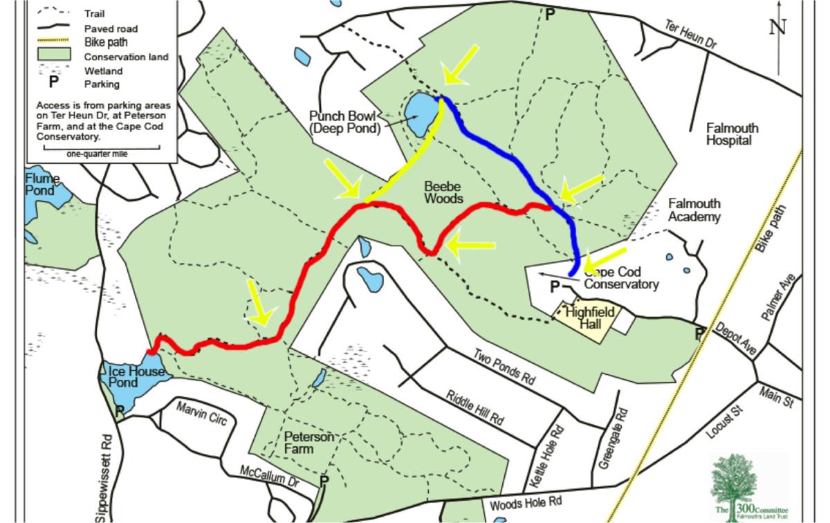 Scout Project Will Aid Hikers In Beebe Woods Falmouth News