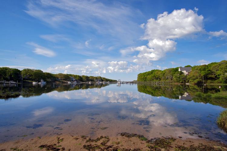 The Week In Photos June 5, 2020 Photography