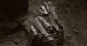 30,000-Year-Old Discovery Offers Glimpse of Ice Age Hunter-Gatherers
