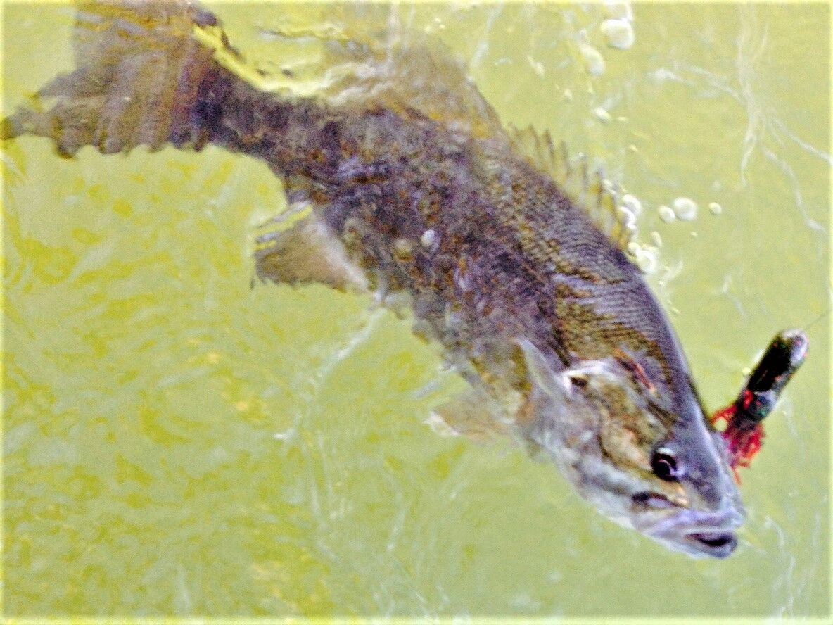 Three simple selections for spring Smallmouth Bass