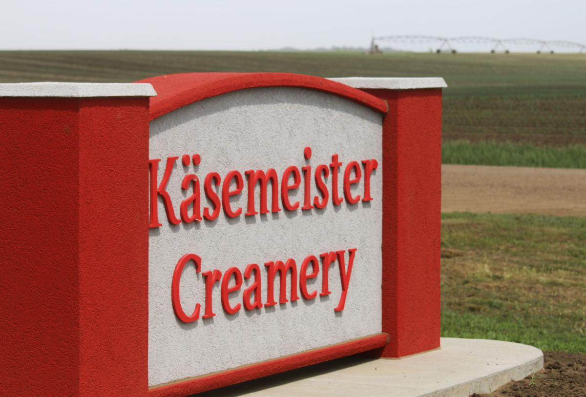 Spink Colony in SD works to double milk returns by making cheese