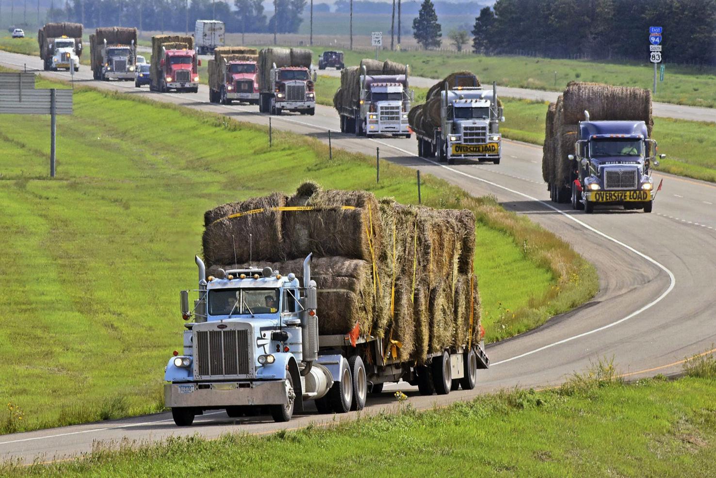 Farm Rescue Offers Support to North Dakota Wildfire Victims News