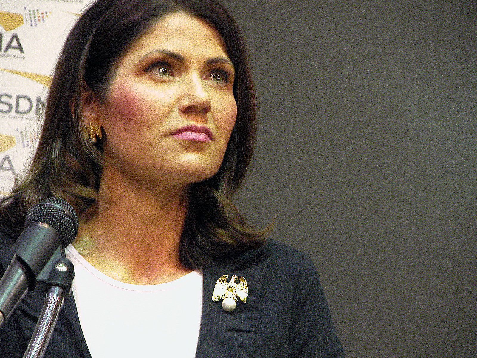 Kristi Noem Wins, Will Be South Dakota’s First Female Governor | Local ...