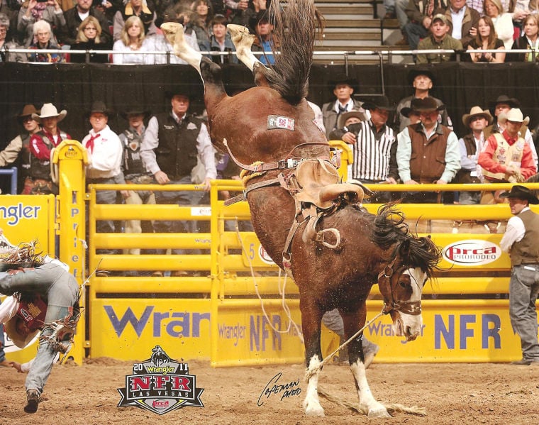 Onida rodeo horse honored at Casey Tibbs South Dakota Rodeo Center ...