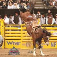 Onida rodeo horse honored at Casey Tibbs South Dakota Rodeo Center ...