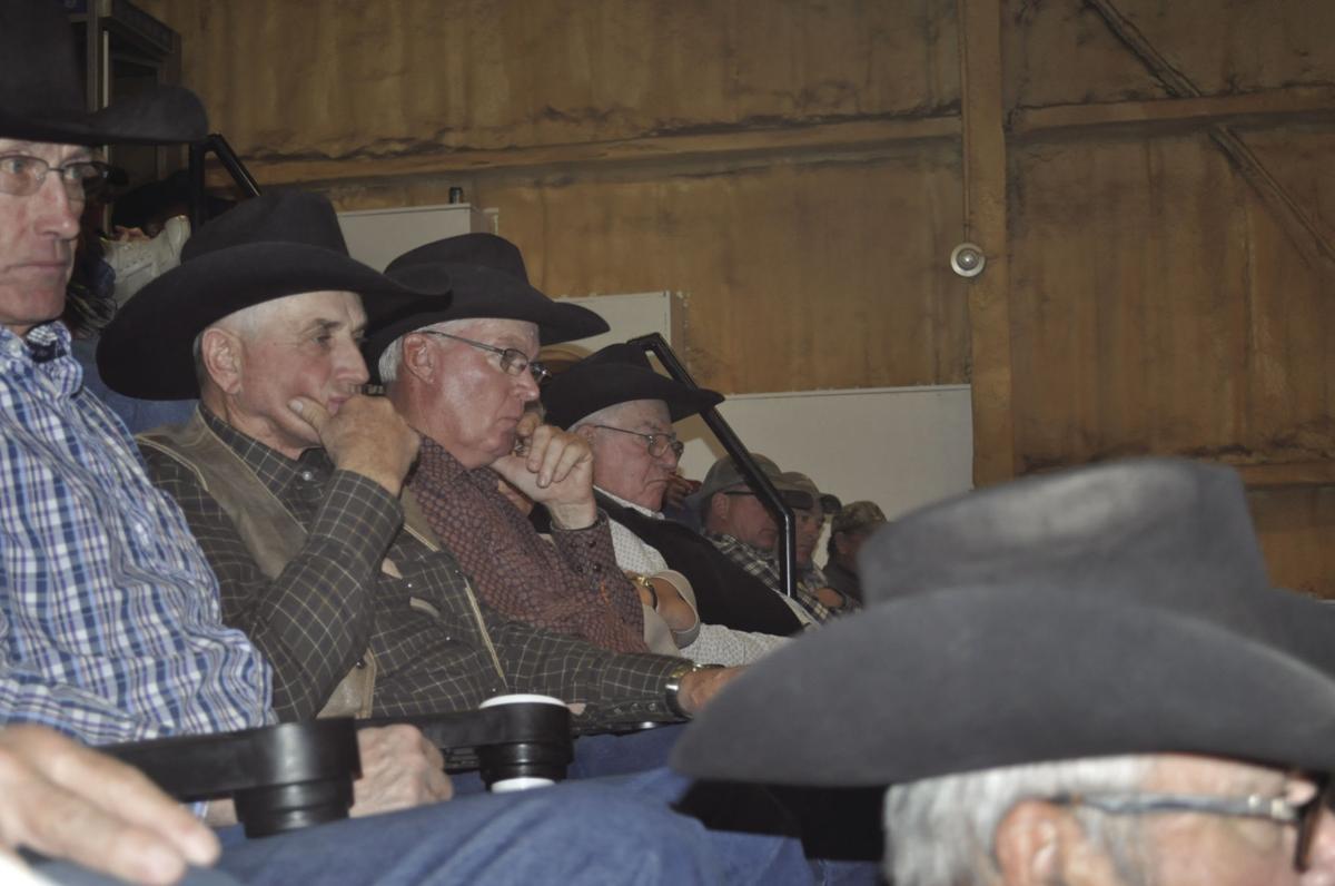 Rancher lobbying group sees Trump as hopeful sign for cattle producers