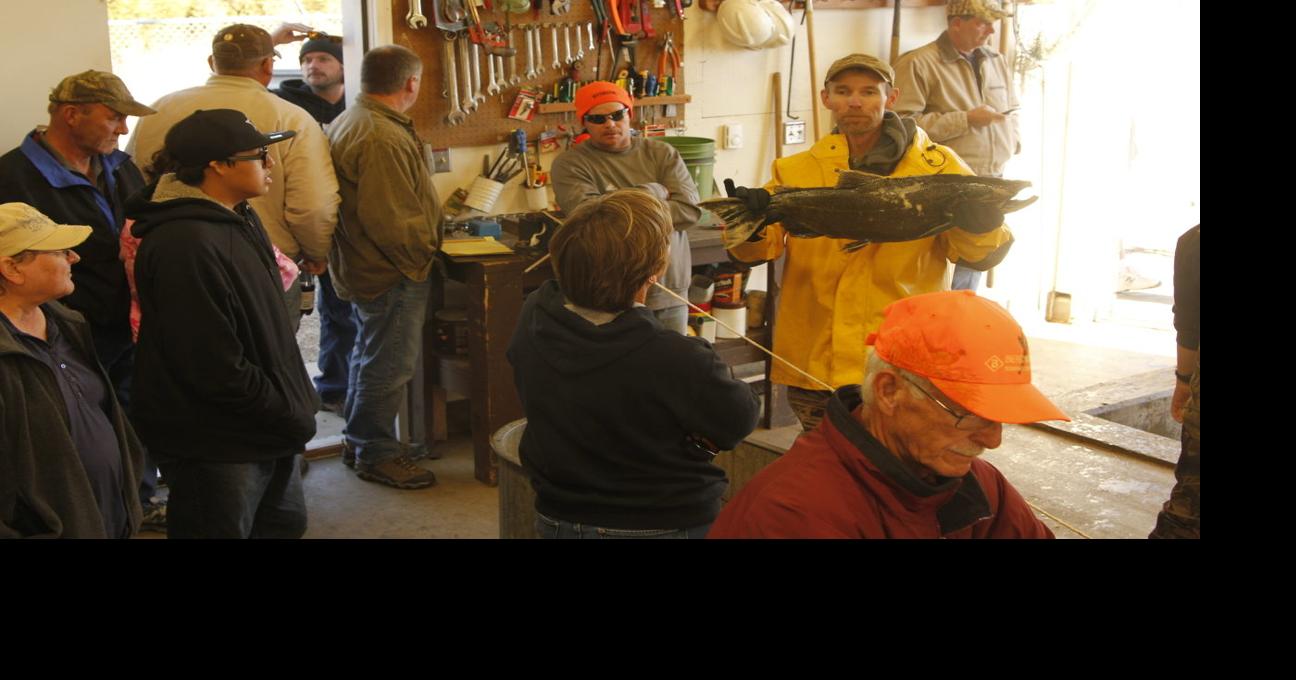 oahe-salmon-fishery-looks-to-be-on-the-upswing-officials-say-local